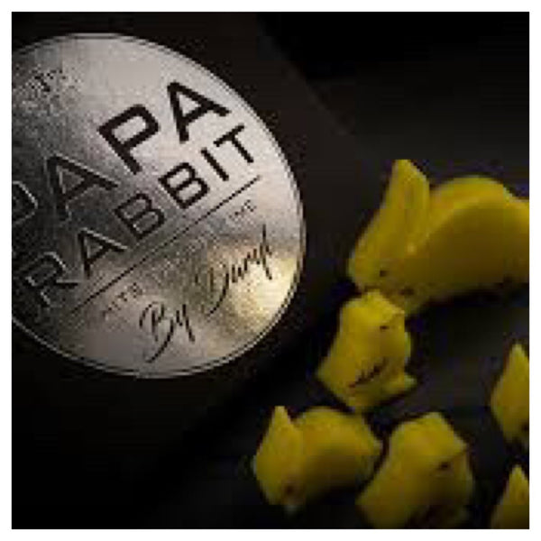 Papa Rabbit Hits The Big Time (Gimmicks and Online Instruction) by DARYL